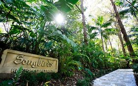 Songbirds Rainforest Retreat