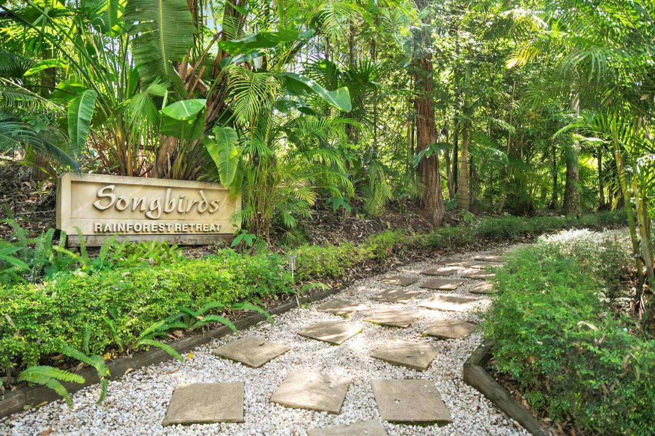 Songbirds Rainforest Retreat Mount Tamborine Exterior photo