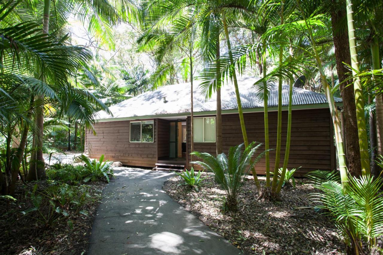 Songbirds Rainforest Retreat Mount Tamborine Exterior photo